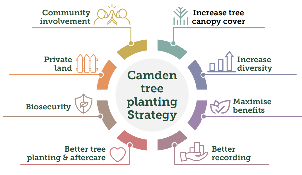 Case Study Image